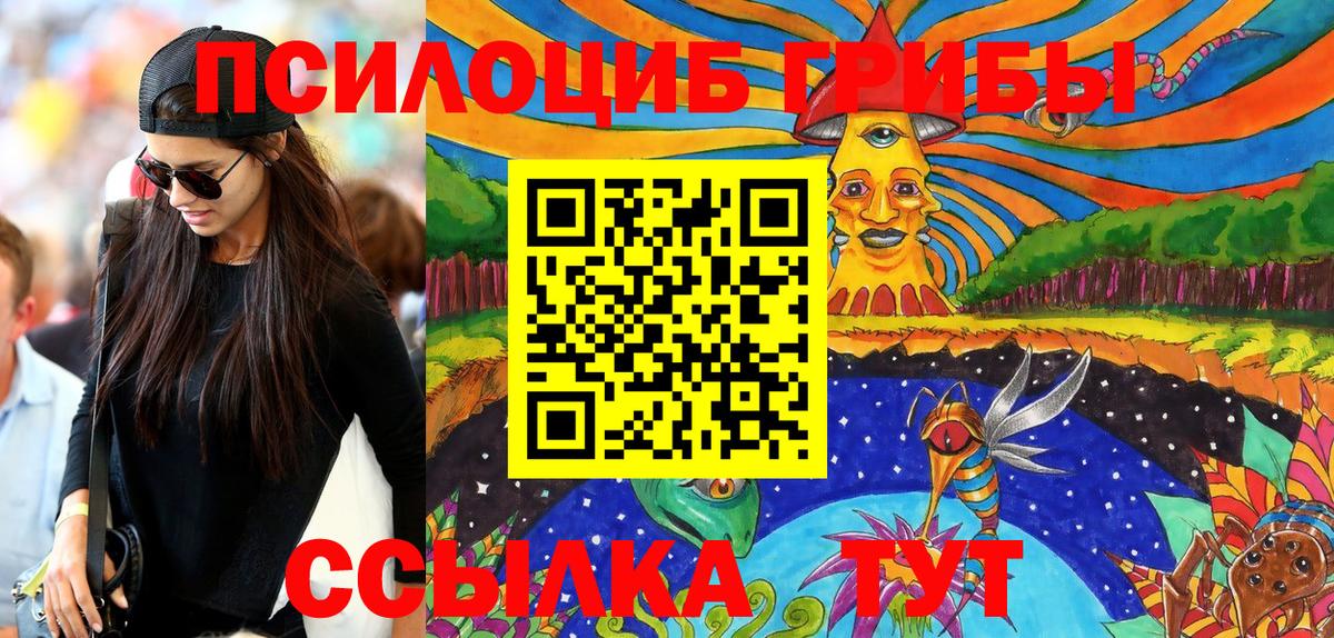 Галлюциногенные грибы прущие грибы  где продают наркотики  Клинцы  Галлюциногенные грибы Cubensis  Вход с VPN 