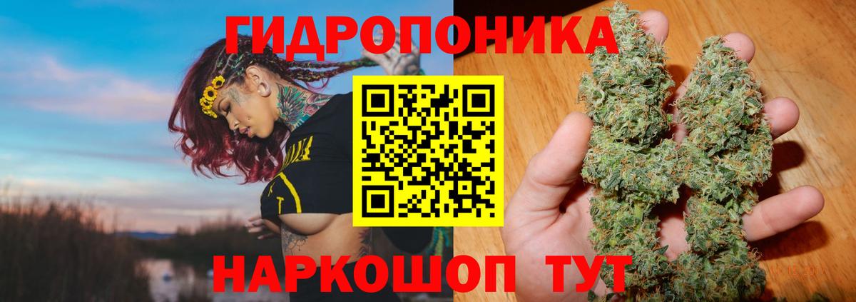 Бошки марихуана ГИДРОПОН  МАРИХУАНА индика  Вход с VPN  Клинцы 